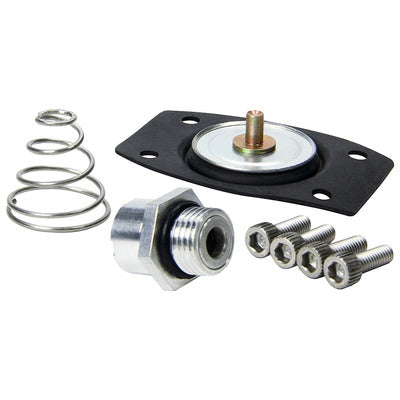 Allstar Rebuild Kit for ALL40290