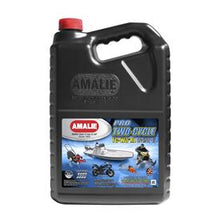 Amalie Pro Two-Cycle TC-W3® RL TC-W3 Oil (Gallon)