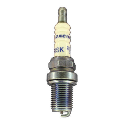 Brisk Silver Racing D10S Spark Plug