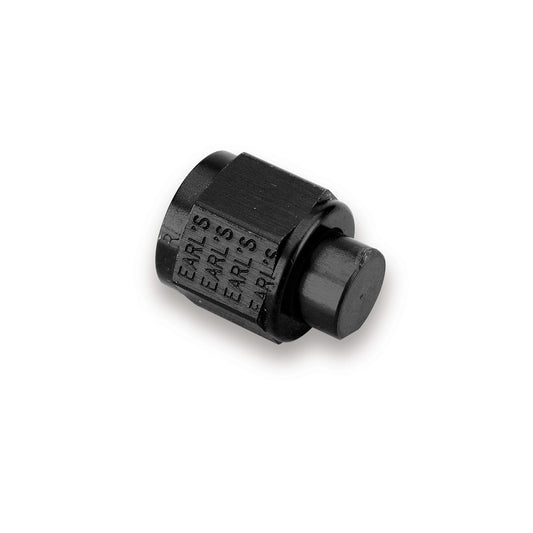 Earl's Cap Plug 12AN 899