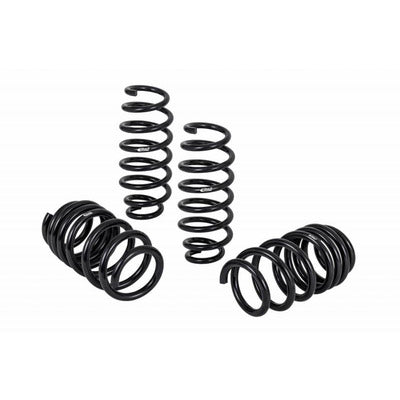 Eibach Pro-Kit Tesla 17-20 Long Range RWD (4 Springs)