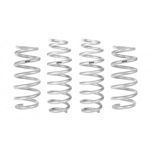 Eibach Pro Lift Kit for 20-22 Model Y Performance Springs