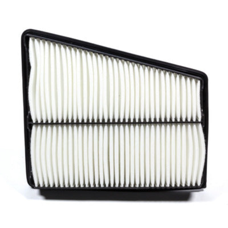 FRAM Extra Guard Rigid Panel Air Filter CA10661