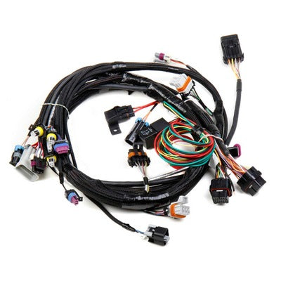 Holley Main Wiring Harness LS1 & LS6