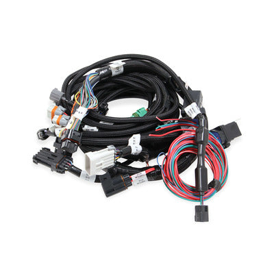 Holley Main Harness 99-04 Ford Mod Motor w/Smart Coil
