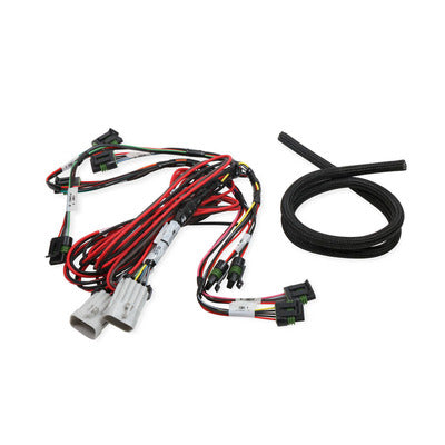 Holley Coil-Near-Plug Sub Harness - Big Wire