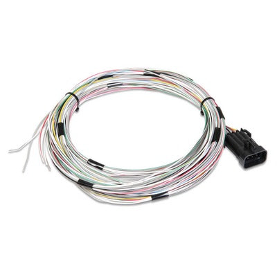 Holley J1A/B Input/Output Connector