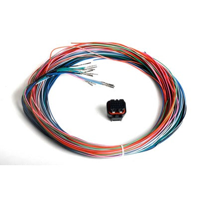 Holley J2B Auxiliary Harness Kit