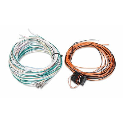 Holley J4 Connector & Harness