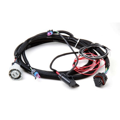 Holley Transmission Wiring Harness GM 4L60/80E