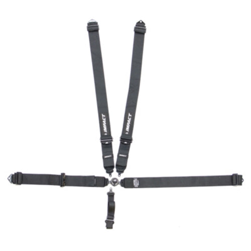 Impact 5-Point Camlock Harness Pull-Up