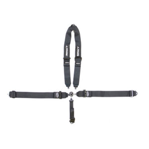 Impact 5-Point Camlock Harness