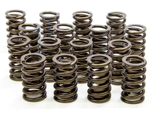 Isky Cams Valve Springs 205-D