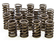 Isky Cams 1.260" Valve Springs