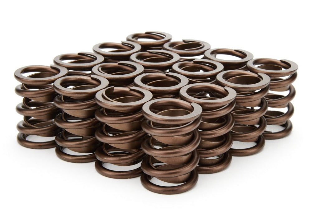 Isky Cams 1.490" Valve Springs