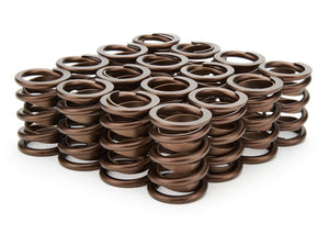 Isky Cams 1.490" Valve Springs