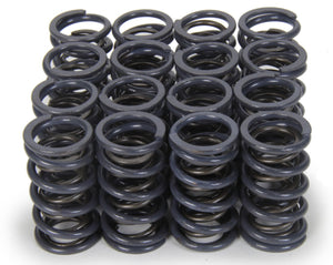 Isky Cams 1.240" Dual Valve Springs