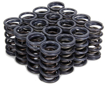 Isky Cams 1.240" Dual Valve Springs