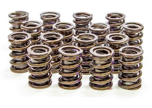 Isky Cams 1.430" Valve Springs