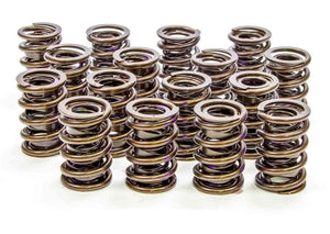 Isky Cams 1.430" Valve Springs