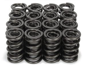 Isky Cams 1.340" Diameter Valve Springs (12pk)