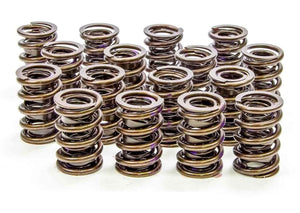 Isky Cams 1.530" Valve Springs