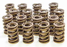 Isky Cams 1.530" Valve Springs