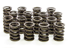 Isky Cams 1.530" Valve Springs