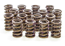 Isky Cams 1.530" Valve Springs