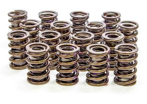 Isky Cams 1.530" Valve Springs