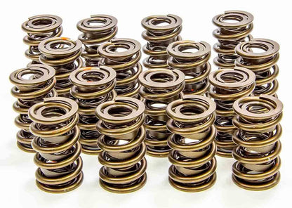 Isky Cams 1.560" Valve Springs 9375PLUS