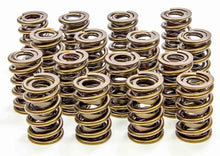 Isky Cams 1.560" Valve Springs