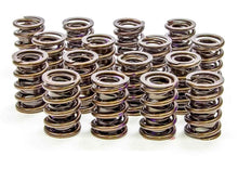 Isky Cams 1.560" Valve Springs 9385