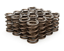 Isky Cams 1.560" Valve Springs