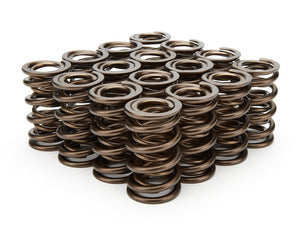 Isky Cams 1.560" Valve Springs