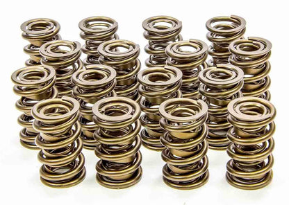 Isky Cams 1.625" Valve Springs