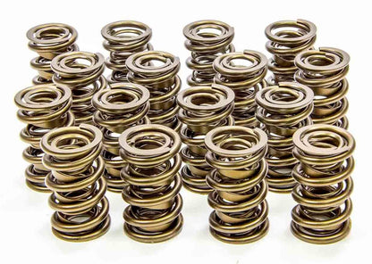 Isky Cams 1.625" Valve Springs