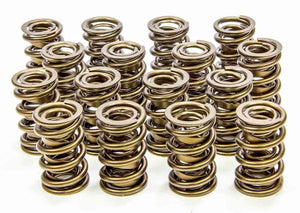 Isky Cams 1.625" Valve Springs