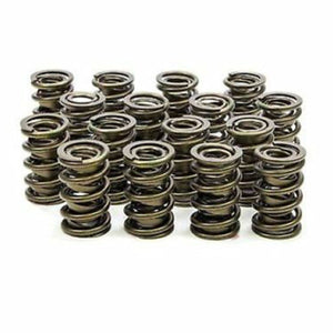 Isky Cams 1.570" Dual Valve Springs