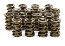 Isky Cams 1.560" Valve Springs