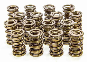 Isky Cams 1.570" Valve Springs