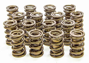 Isky Cams 1.600" Valve Springs