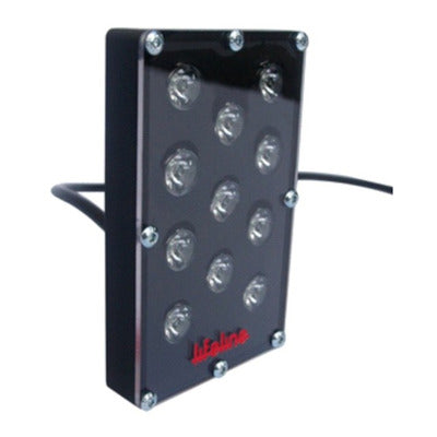 Lifeline LED Rain Light
