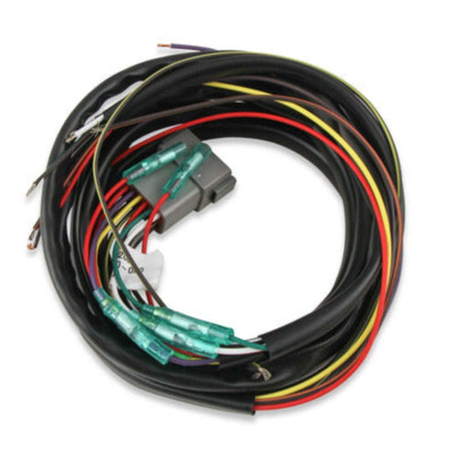 MSD Wire Harness for 62125 & 62153 8898