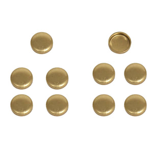 Pioneer Brass Expansion Plugs (10pk) EPC-16-B-10