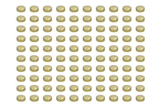 Pioneer Expansion Plugs - 1-5/8 Brass (100pk) EPC-41-B-100