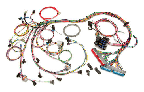 Painless Performance EFI Wiring Harness 98-02 GM LS1  60508