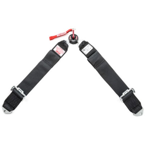 Simpson Camlock Lap Belt - 62 In