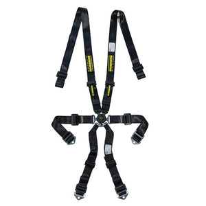 Schroth 6-Point Profi 2x2 Camlock Harness Pull-Up Lap SR 91152PU O-6