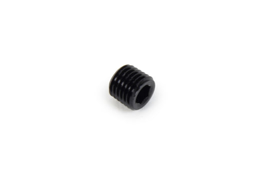 Triple X NPT Allen Plug 1/16
